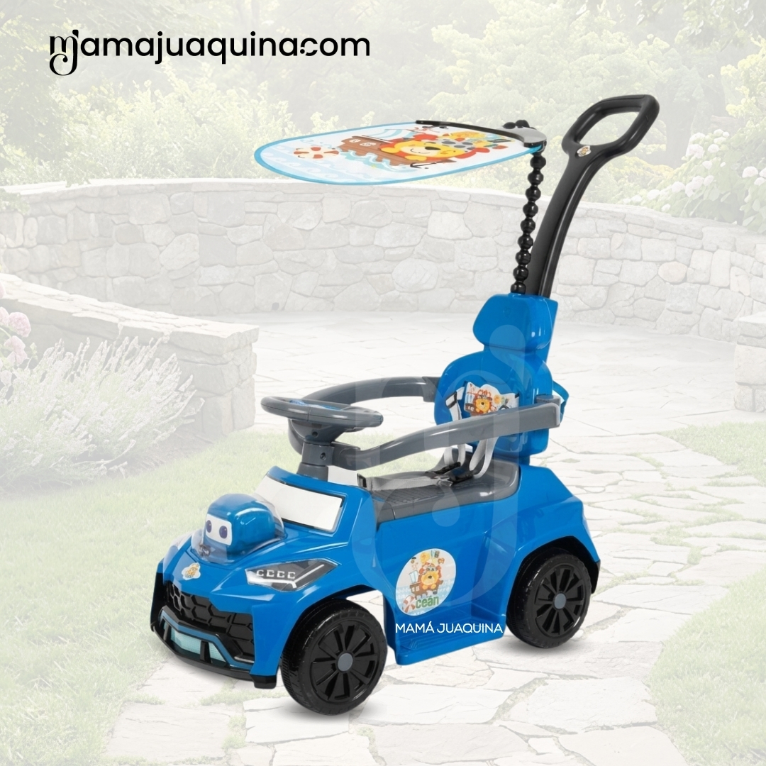 CORREPASILLO GUIADOR «BUGGY JUDE» EDICIÓN LIMITADA - 3