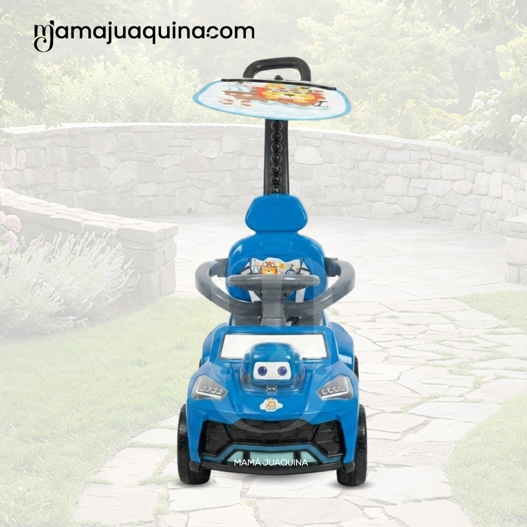 CORREPASILLO GUIADOR «BUGGY JUDE» EDICIÓN LIMITADA - 5