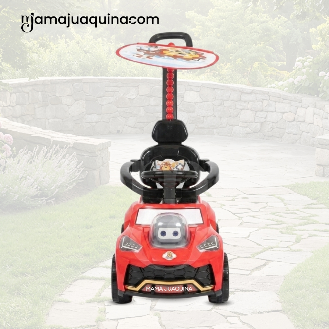 CORREPASILLO GUIADOR «BUGGY JUDE» EDICIÓN LIMITADA - 5