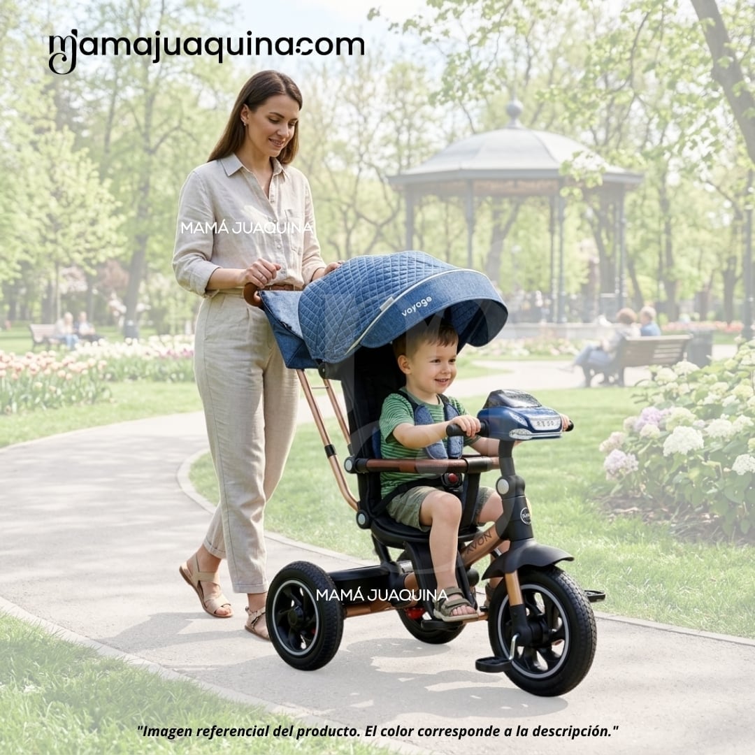 TRICICLO GUIADOR PARA BEBÉS «FOX NOVA» EDICIÓN LIMITADA - 2