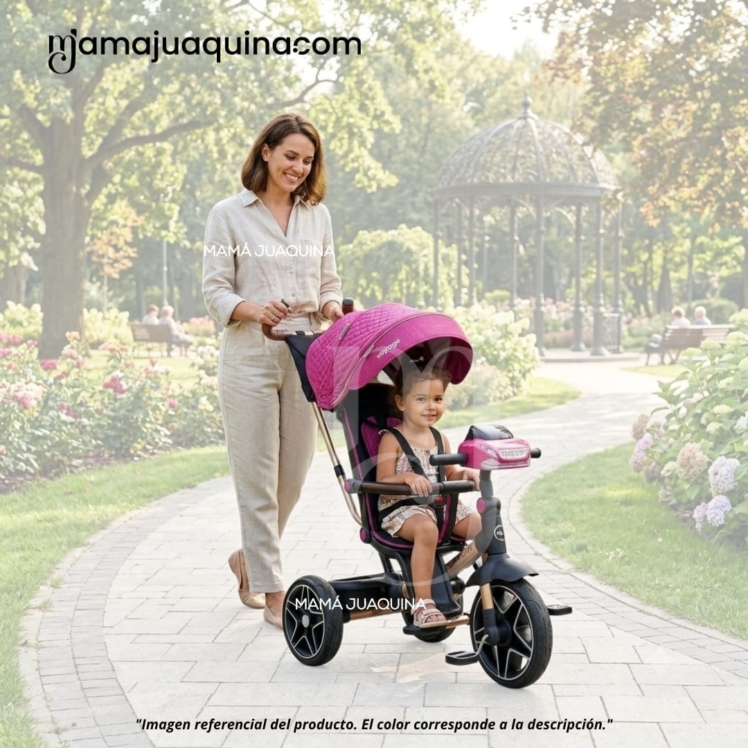 TRICICLO GUIADOR PARA BEBÉS «FOX NOVA» EDICIÓN LIMITADA - 2