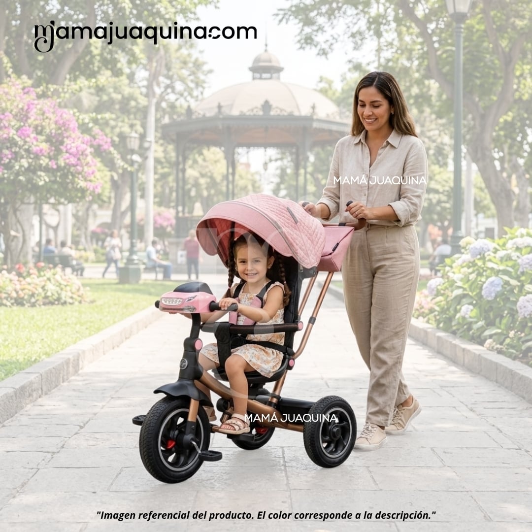 TRICICLO GUIADOR PARA BEBÉS «FOX NOVA» EDICIÓN LIMITADA - 2