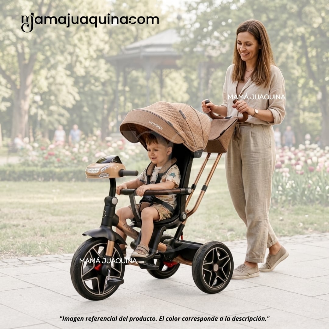 TRICICLO GUIADOR PARA BEBÉS «FOX NOVA» EDICIÓN LIMITADA - 2