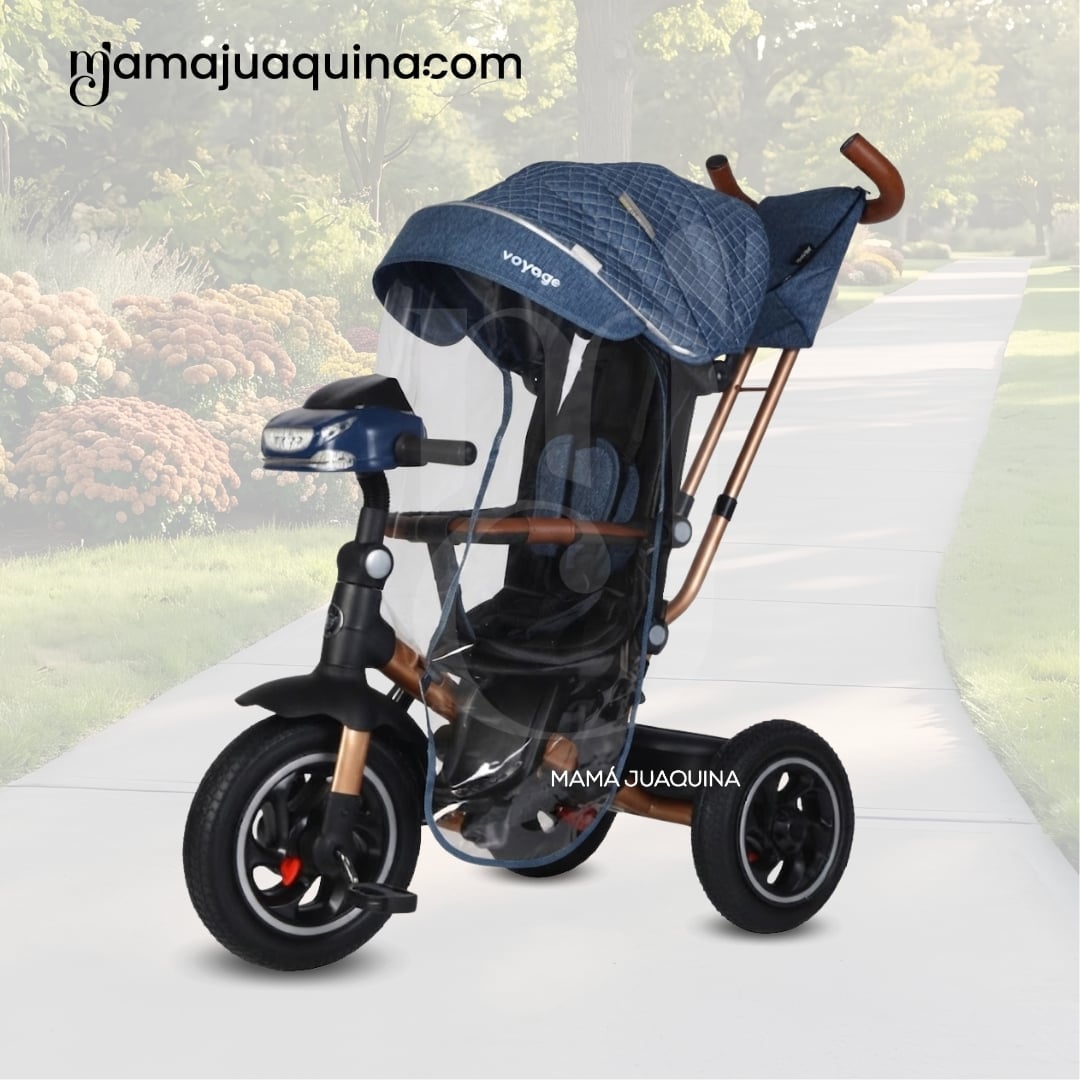 TRICICLO GUIADOR PARA BEBÉS «FOX NOVA» EDICIÓN LIMITADA - 3