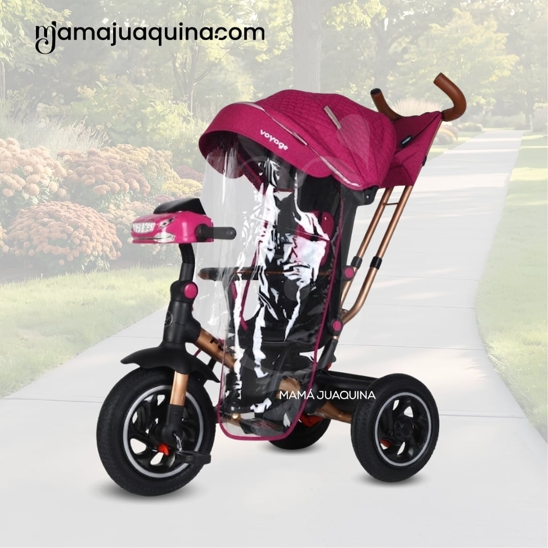 TRICICLO GUIADOR PARA BEBÉS «FOX NOVA» EDICIÓN LIMITADA - 3
