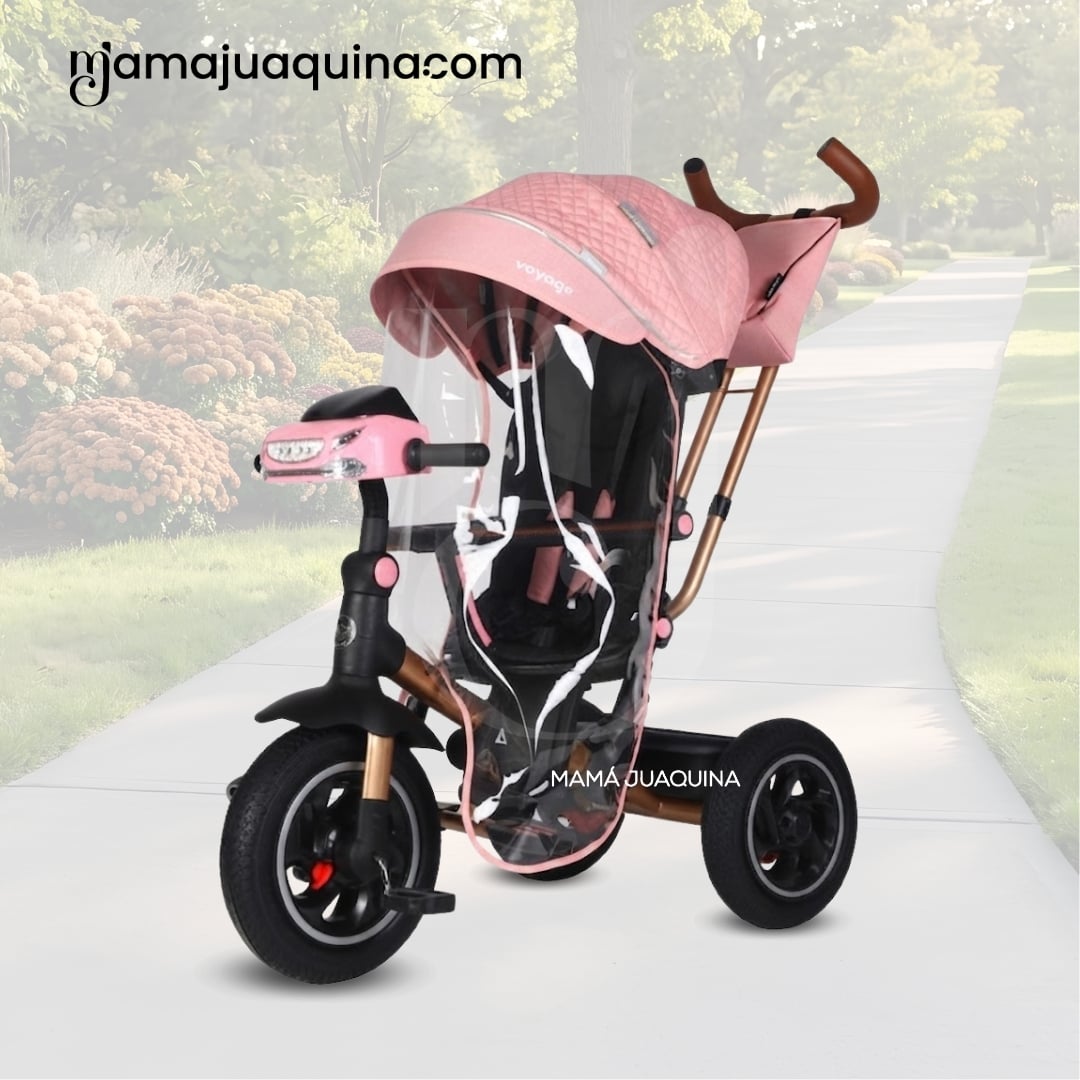 TRICICLO GUIADOR PARA BEBÉS «FOX NOVA» EDICIÓN LIMITADA - 3