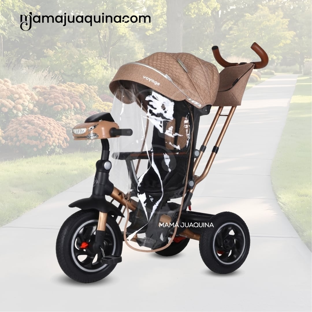TRICICLO GUIADOR PARA BEBÉS «FOX NOVA» EDICIÓN LIMITADA - 3
