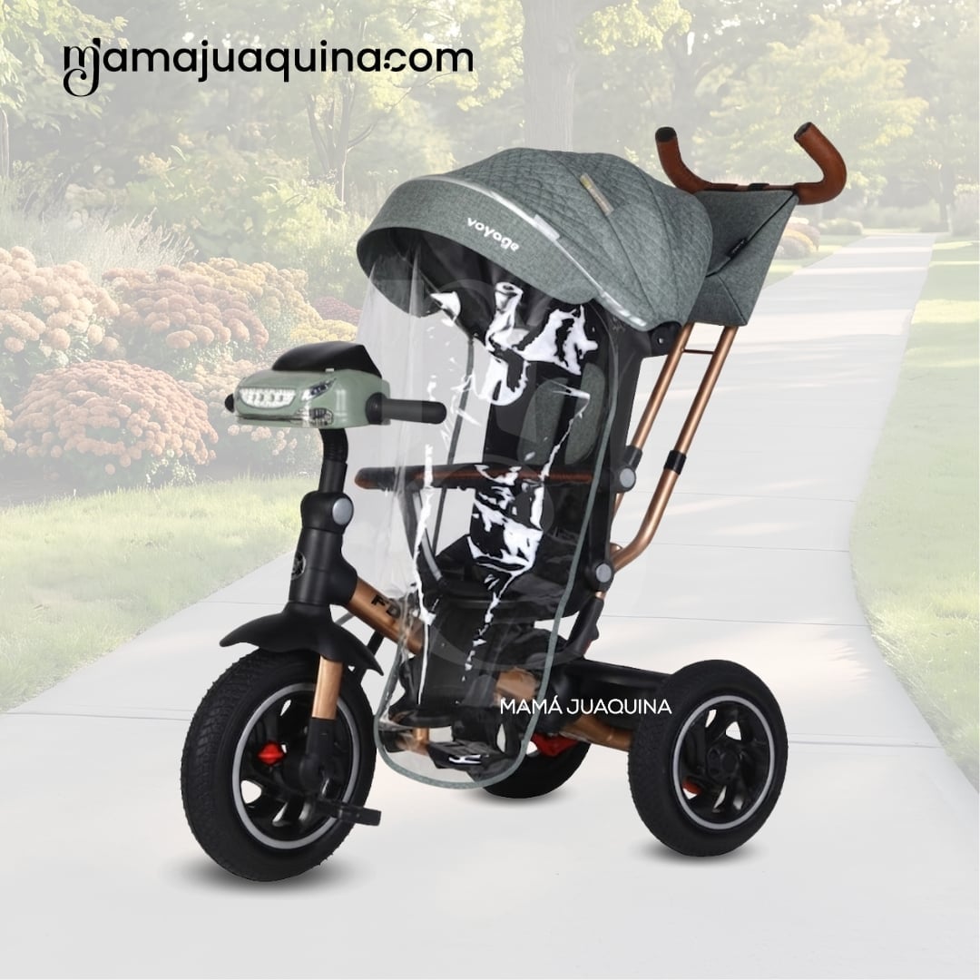 TRICICLO GUIADOR PARA BEBÉS «FOX NOVA» EDICIÓN LIMITADA - 3