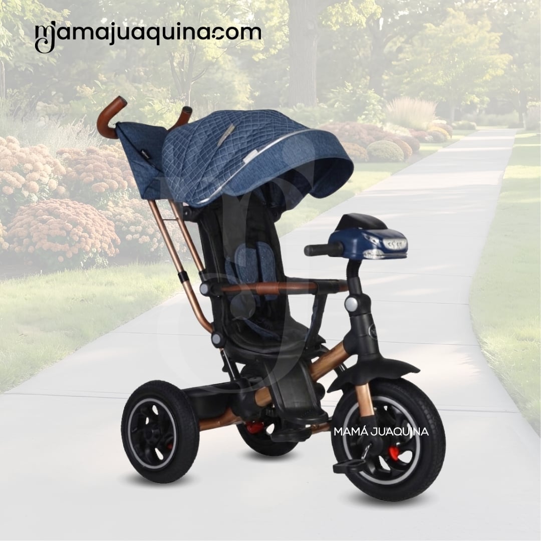 TRICICLO GUIADOR PARA BEBÉS «FOX NOVA» EDICIÓN LIMITADA - 4
