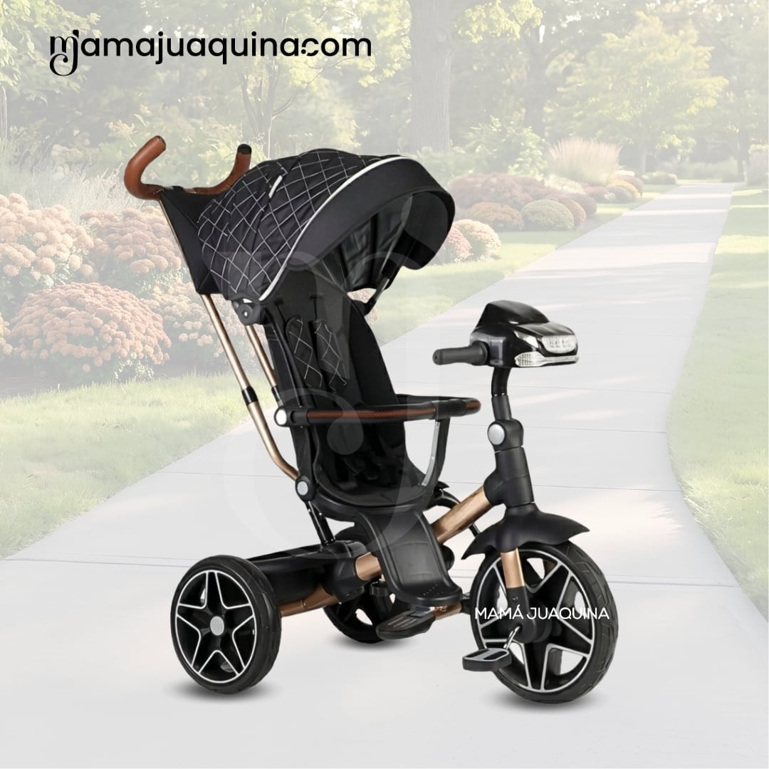 TRICICLO GUIADOR PARA BEBÉS «FOX NOVA» EDICIÓN LIMITADA - 4