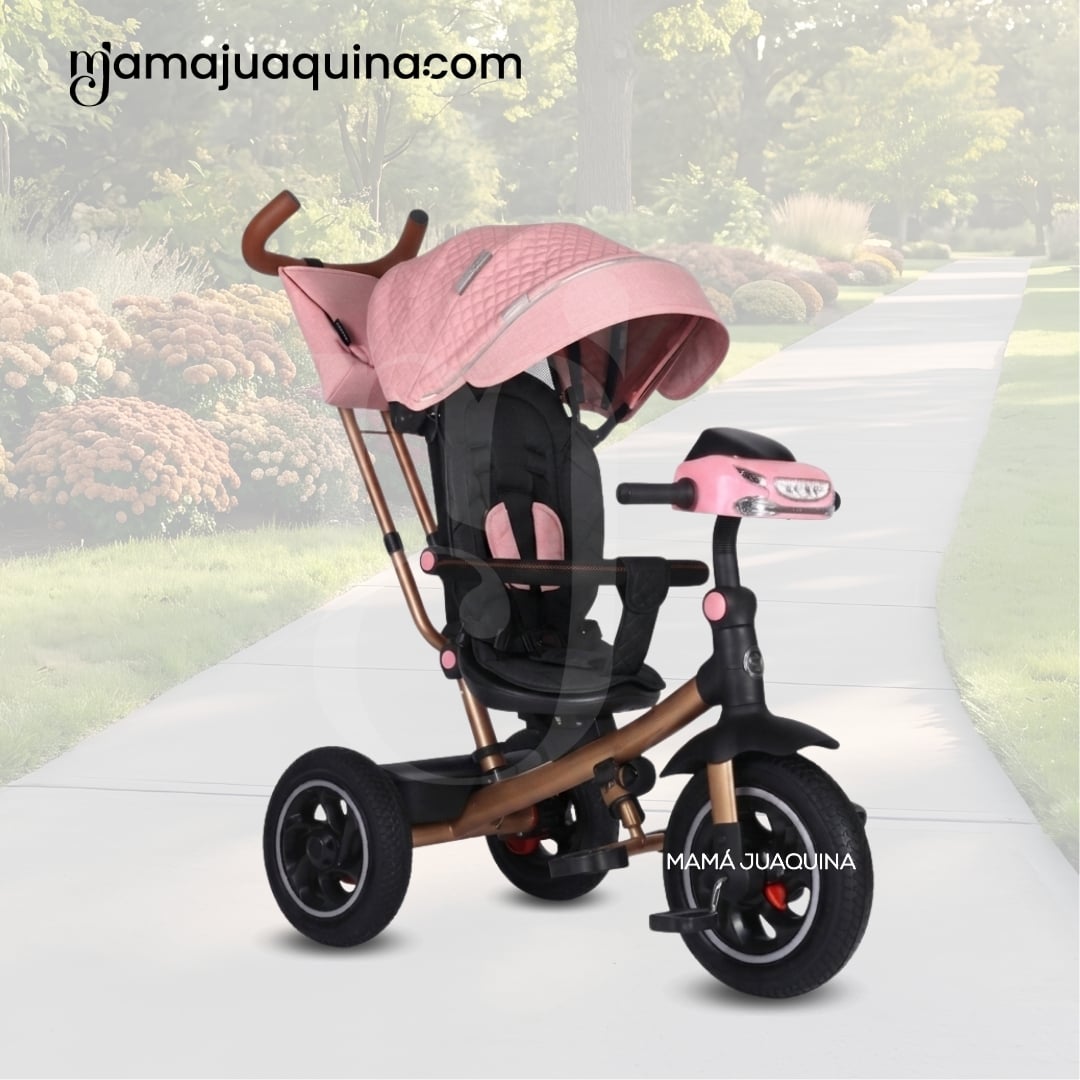 TRICICLO GUIADOR PARA BEBÉS «FOX NOVA» EDICIÓN LIMITADA - 4