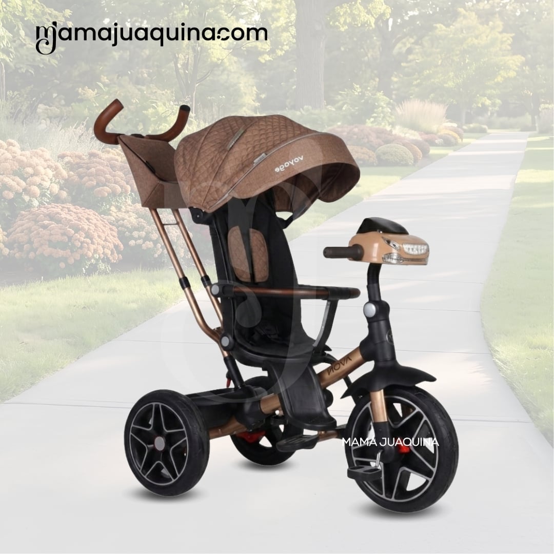 TRICICLO GUIADOR PARA BEBÉS «FOX NOVA» EDICIÓN LIMITADA - 4