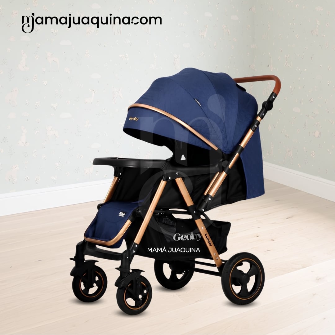 COCHE CUNA DE LUJO «GEOBY» CON MOCHILA - 3