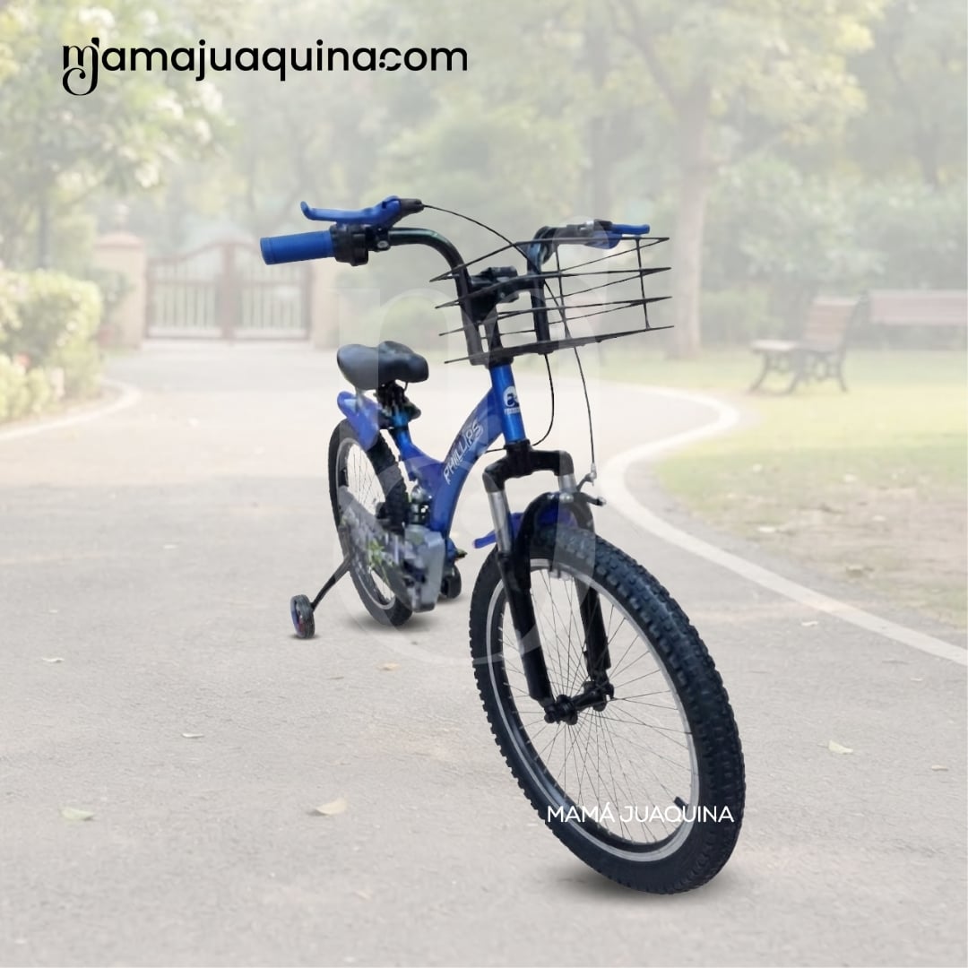 BICICLETA PARA NIÑO ARO 20 «PHILLIPS KING» CON CANASTA GREEN - 3