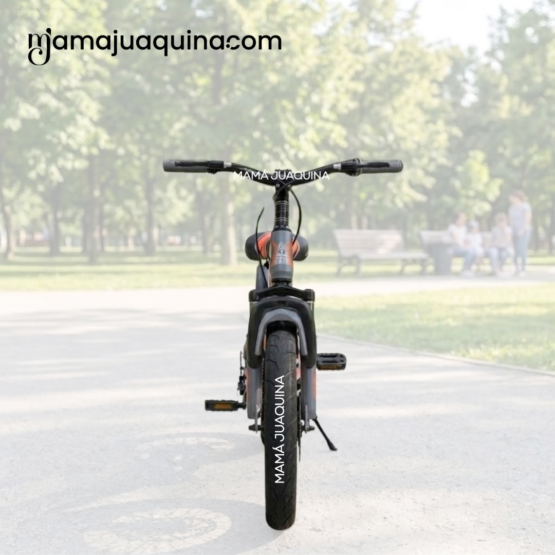 BICICLETA PARA NIÑO ARO 16 «RAACER X» EDICIÓN EXCLUSIVA - 3