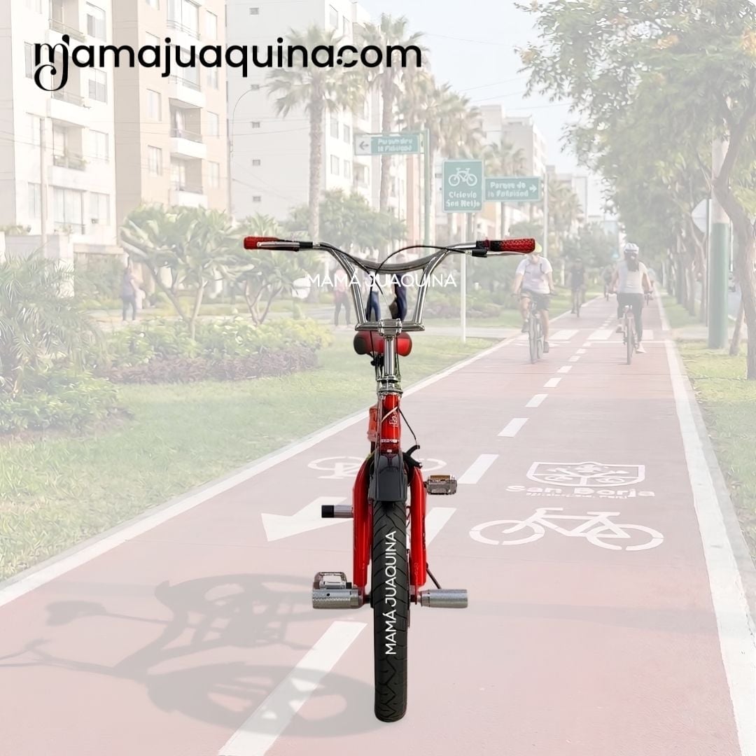 BICICLETA BMX PARA NIÑO «MAGNESO» ARO 20 COLECCIÓN EXCLUSIVA - 3