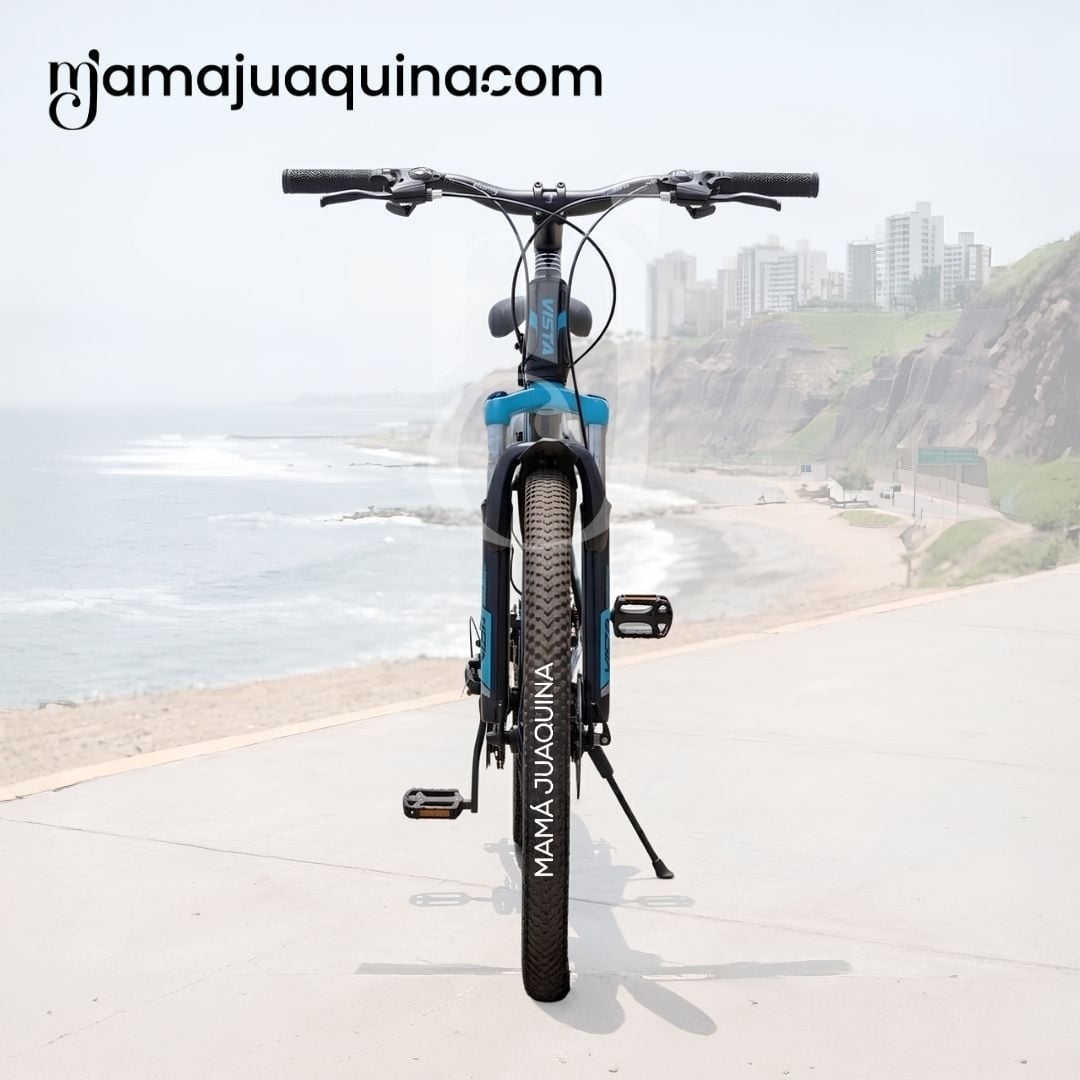 BICICLETA PARA NIÑO ARO 26 «VISTA» EDICIÓN EXCLUSIVA - 4