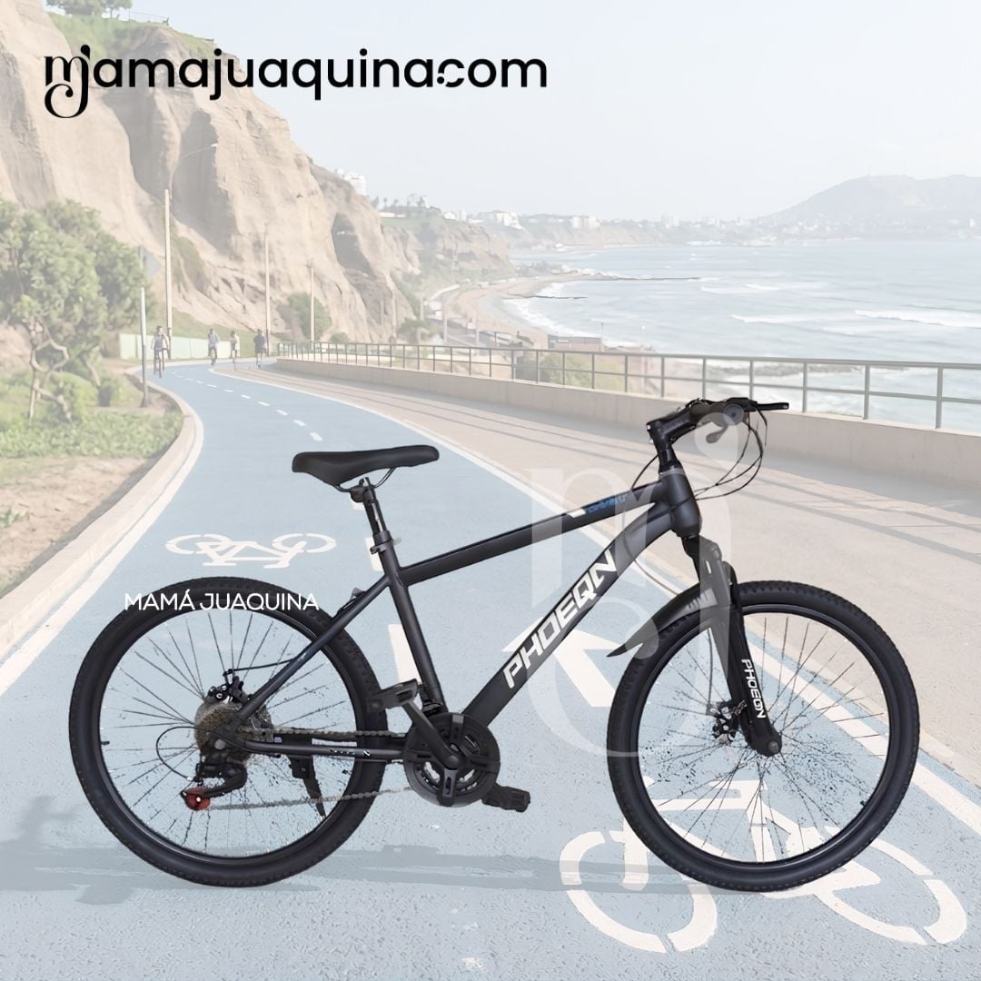 BICICLETA DEPORTIVA ARO 24 «PHOENIX» EDICIÓN LIMITADA - 3