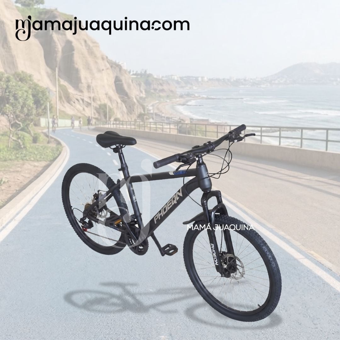 BICICLETA DEPORTIVA ARO 24 «PHOENIX» EDICIÓN LIMITADA - 4