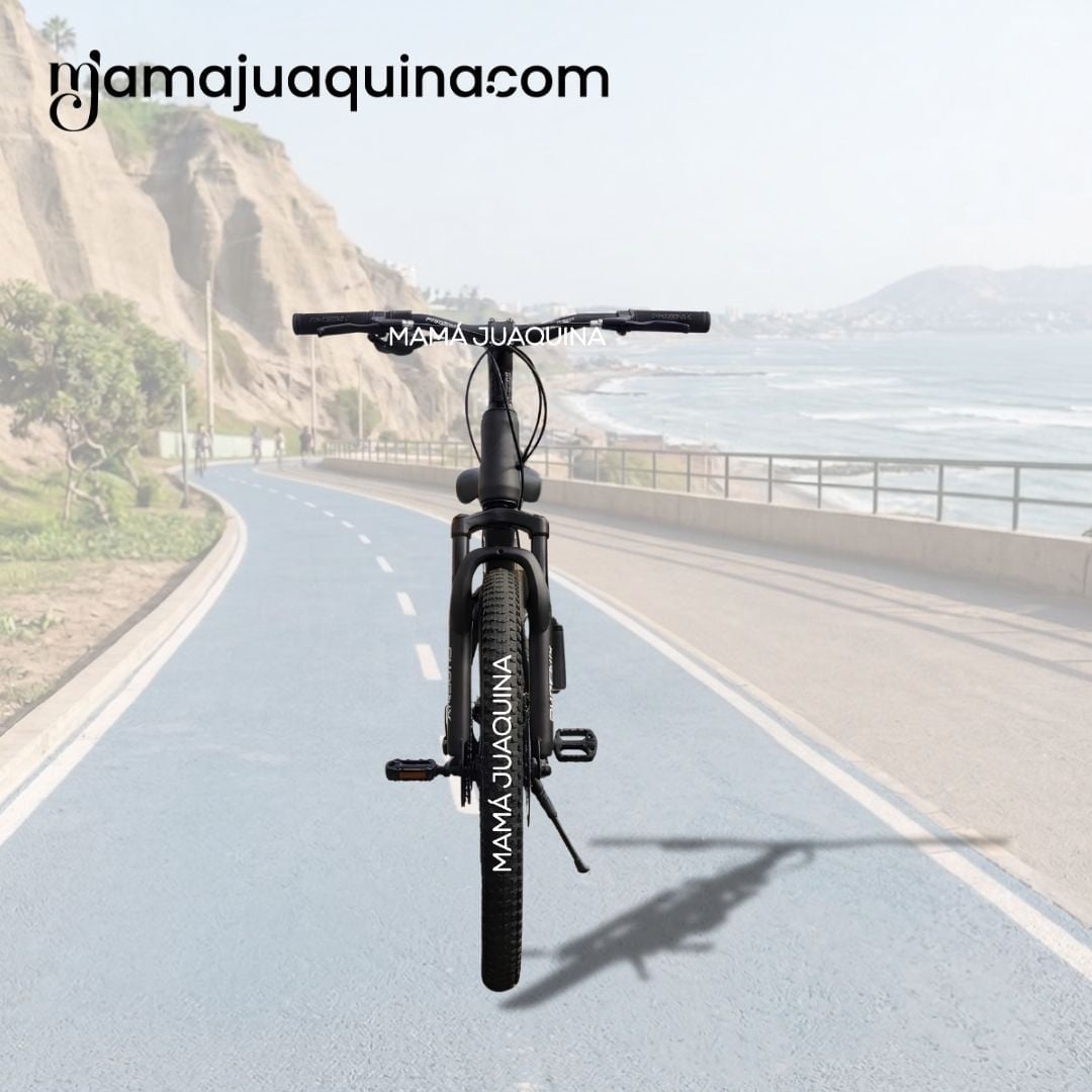 BICICLETA DEPORTIVA ARO 24 «PHOENIX» EDICIÓN LIMITADA - 5