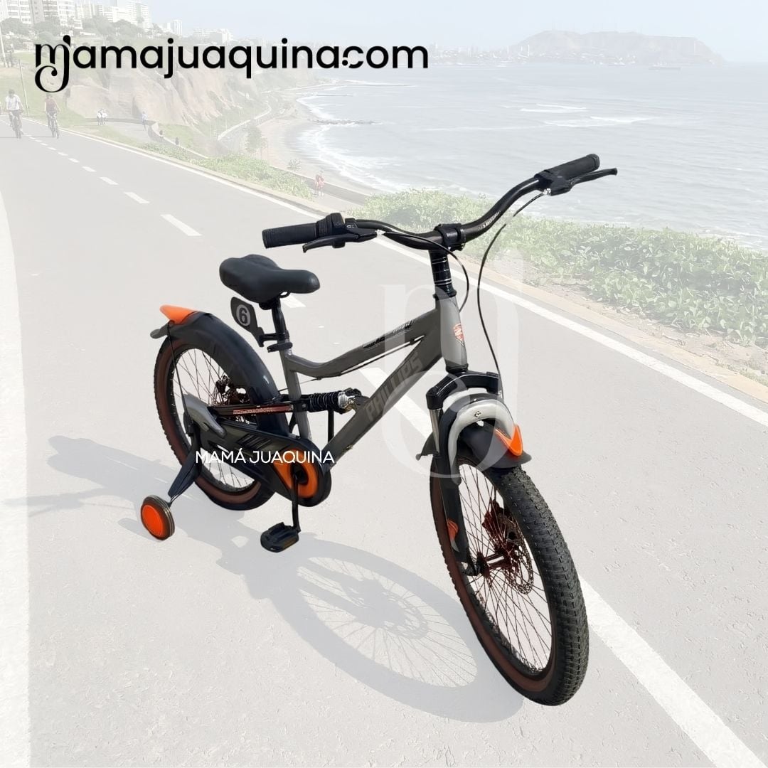BICICLETA PARA NIÑO «BLAZER» ARO 20 COLECCIÓN EXCLUSIVA - 5