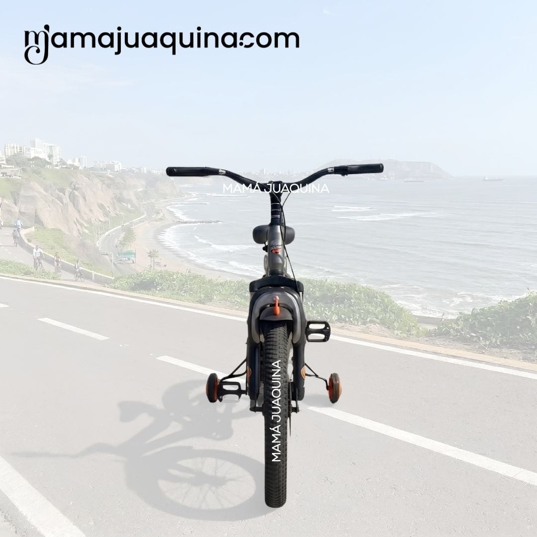 BICICLETA PARA NIÑO «BLAZER» ARO 20 COLECCIÓN EXCLUSIVA - 6
