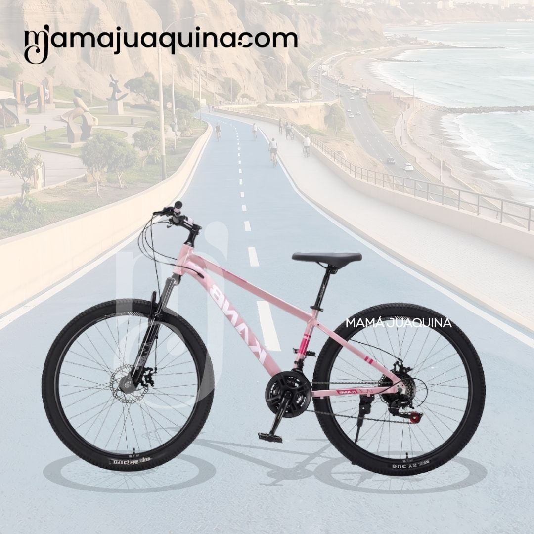 BICICLETA DEPORTIVA ARO 24 «KAMB» EDICIÓN LIMITADA - 5