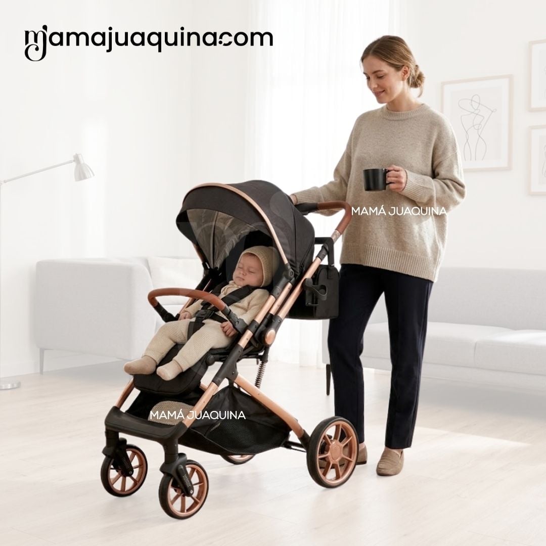 COCHE MALETA DE LUJO «PEGASUS» CON BANDEJA DE COMER EDICIÓN EXCLUSIVA - 3