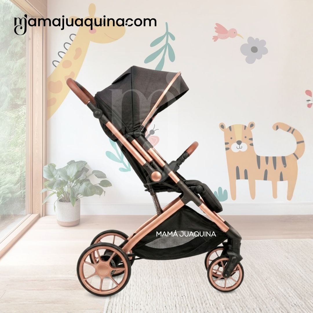 COCHE MALETA DE LUJO «PEGASUS» CON BANDEJA DE COMER EDICIÓN EXCLUSIVA - 4