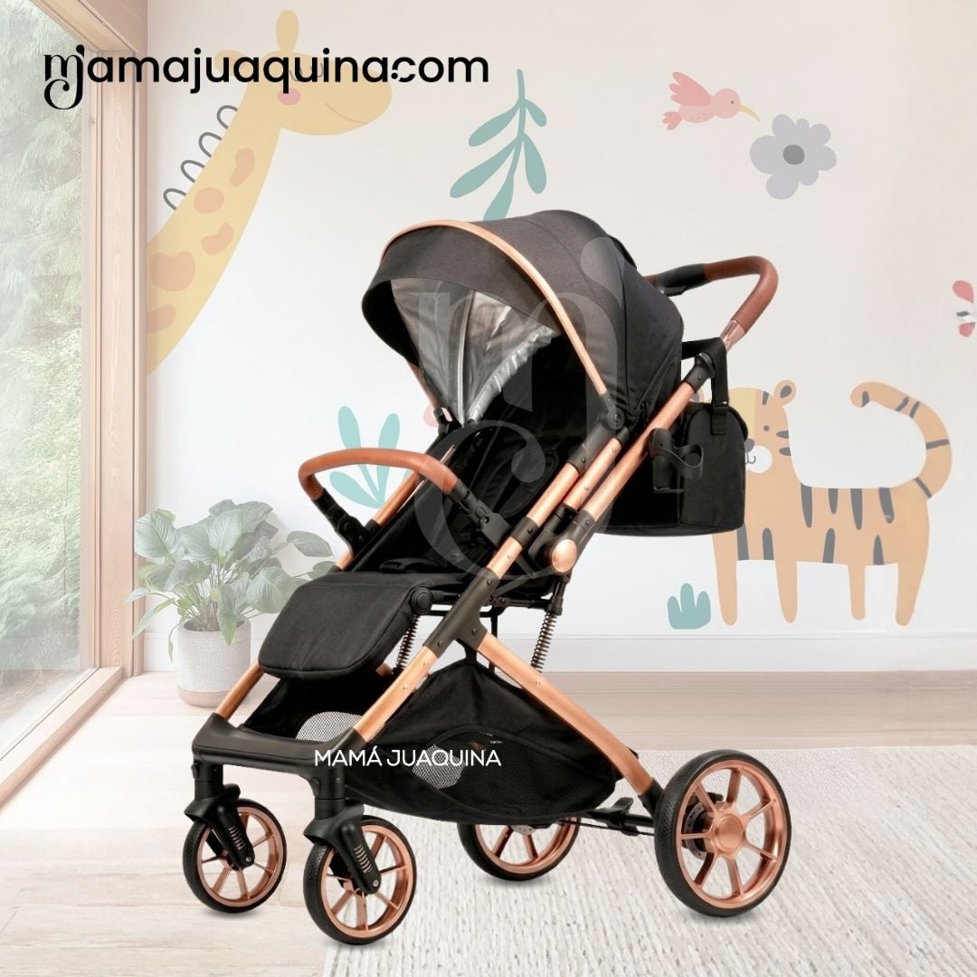 COCHE MALETA DE LUJO «PEGASUS» CON BANDEJA DE COMER EDICIÓN EXCLUSIVA - 5