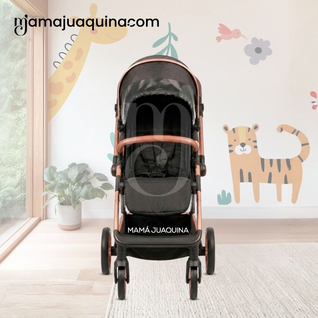 COCHE MALETA DE LUJO «PEGASUS» CON BANDEJA DE COMER EDICIÓN EXCLUSIVA - 6
