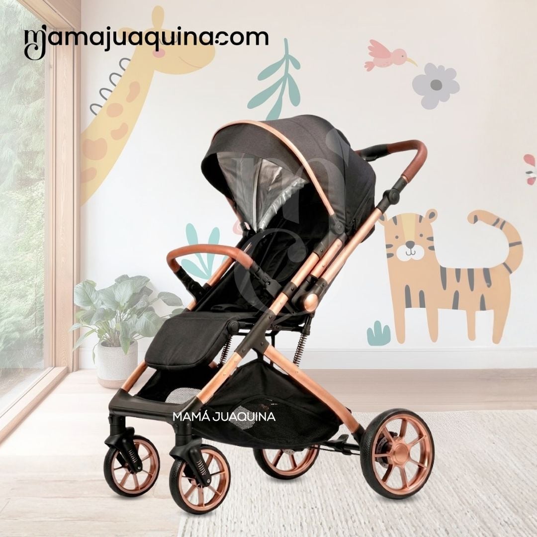 COCHE MALETA DE LUJO «PEGASUS» CON BANDEJA DE COMER EDICIÓN EXCLUSIVA - 7