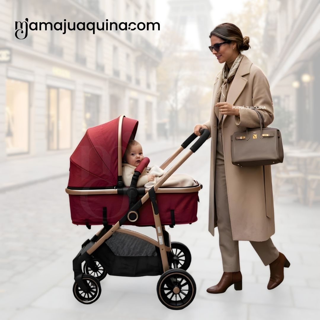 COCHE MOISÉS TRAVEL SYSTEM «CARRI DELUXE» EDICIÓN LIMITADA - 3