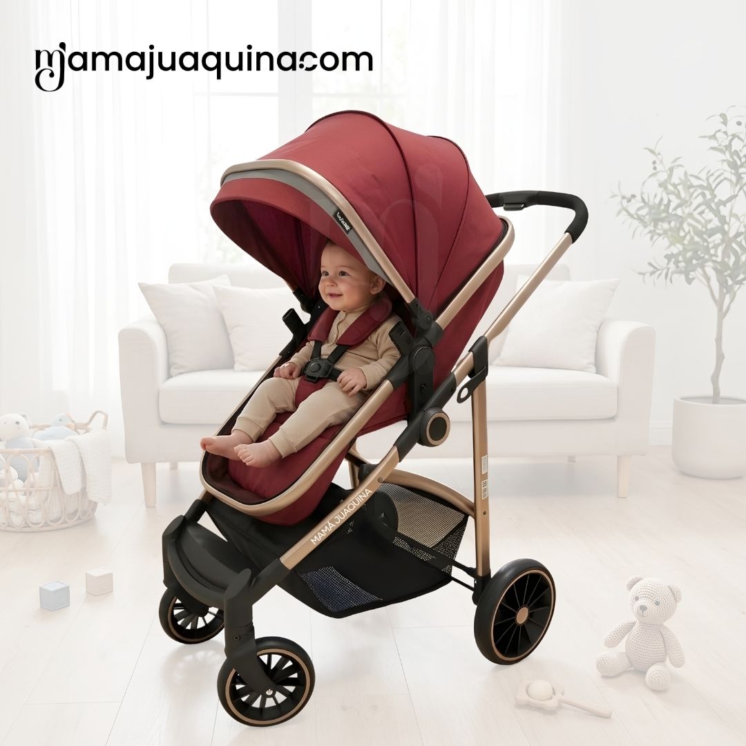 COCHE MOISÉS TRAVEL SYSTEM «CARRI DELUXE» EDICIÓN LIMITADA - 4