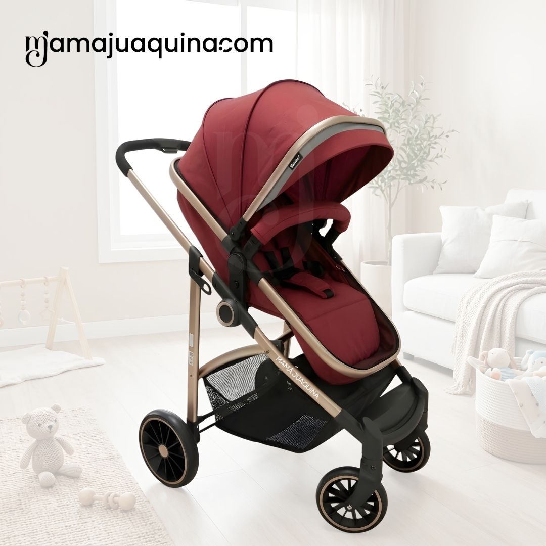 COCHE MOISÉS TRAVEL SYSTEM «CARRI DELUXE» EDICIÓN LIMITADA - 5