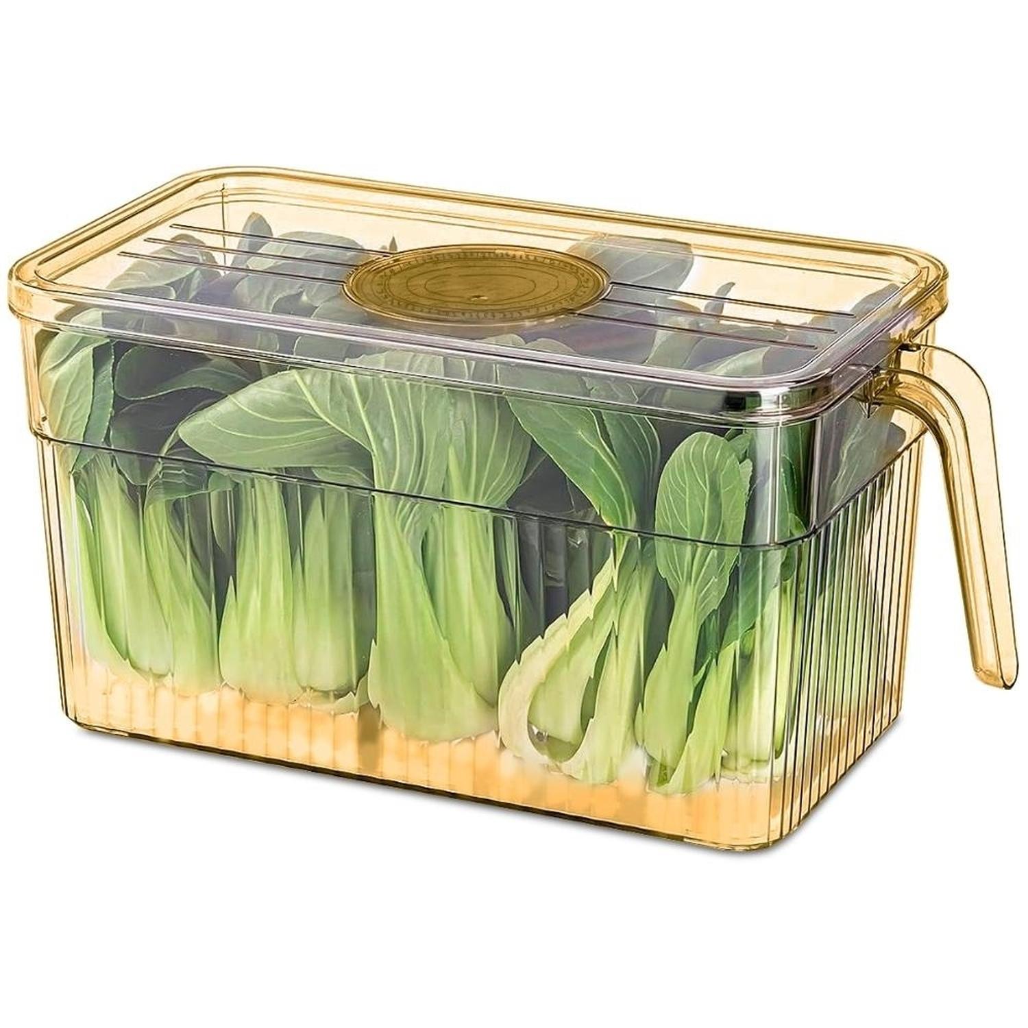 CONTENEDOR ORGANIZADOR DE FRUTAS Y VERDURAS RECIPIENTE CON TAPA AM T14 - 1