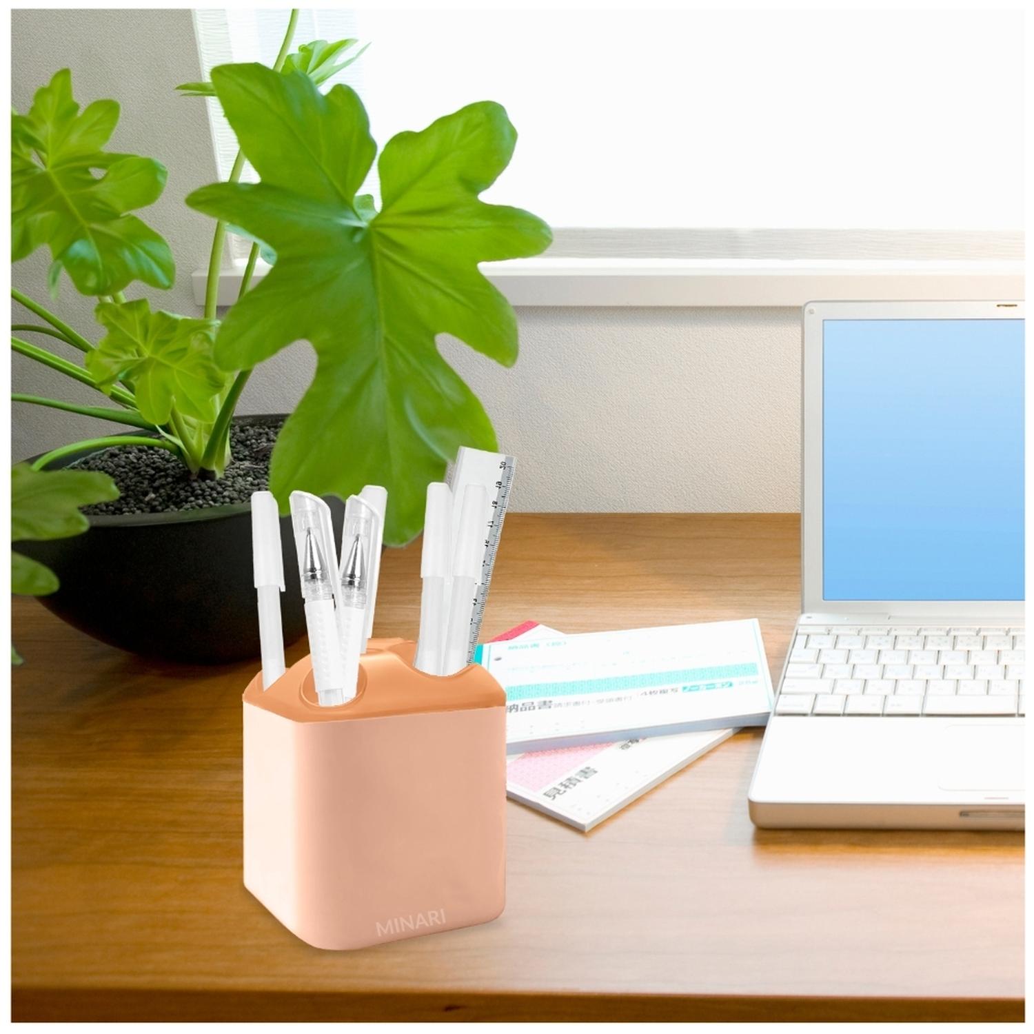 ORGANIZADOR DE ESCRITORIO PORTA LAPICEROS PLUMONES RS C20 - 3