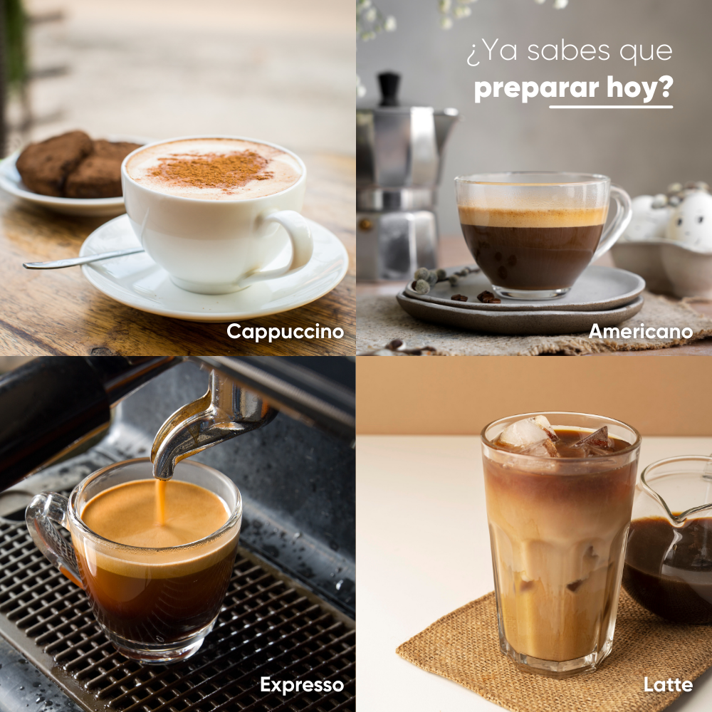 MOLINILLO DE CAFÉ Y ESPECIAS KM 3879 - 6