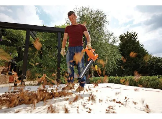 SOPLADORA ASPIRADORA 2500W BLACK DECKER BV25-B2C - 4