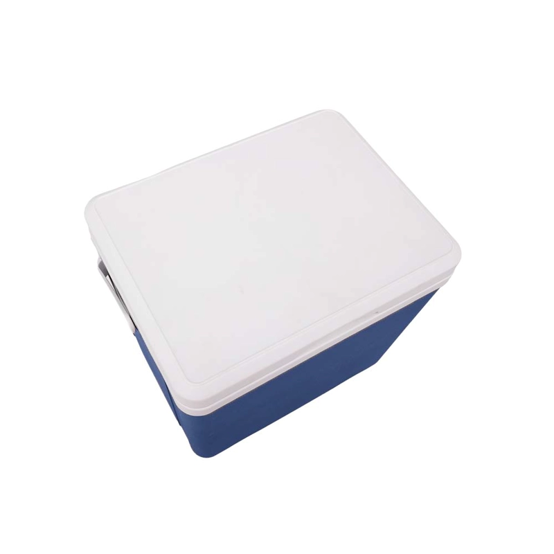 COOLER MERCI HOGAR PINGUINO 18 LT AZUL - 4