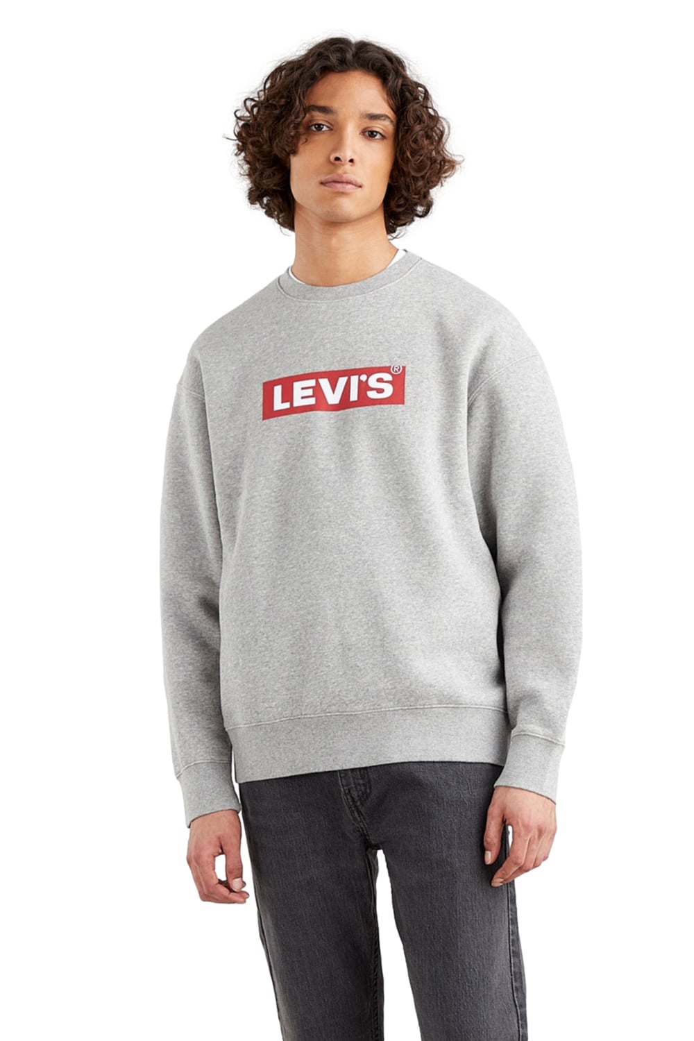 POLERÓN HOMBRE RELAXED GRAPHIC GRIS LEVIS 39134-0030 - 1