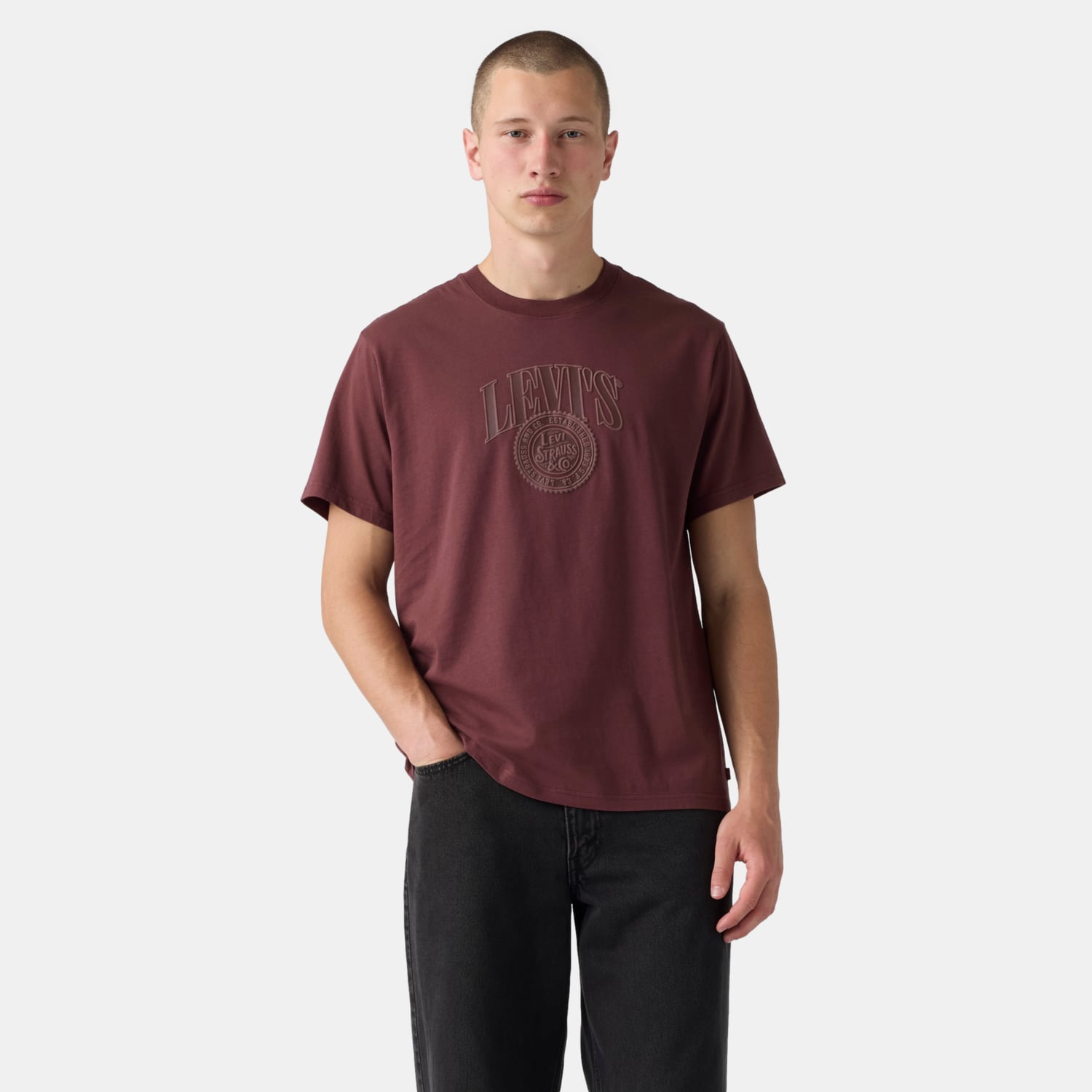 POLO HOMBRE RELAXED FIT TEE BURDEO LEVIS 16143-2676 - 1