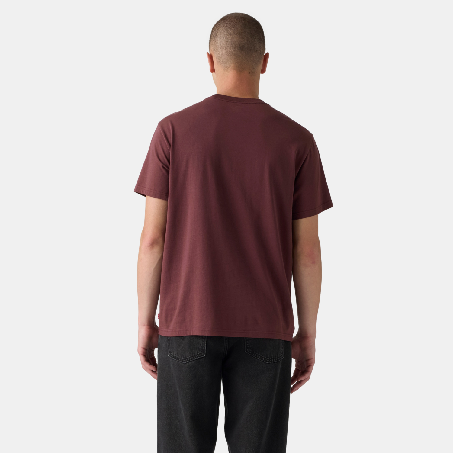 POLO HOMBRE RELAXED FIT TEE BURDEO LEVIS 16143-2676 - 2