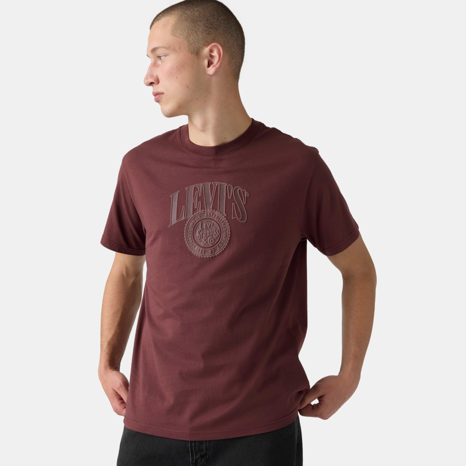 POLO HOMBRE RELAXED FIT TEE BURDEO LEVIS 16143-2676 - 3
