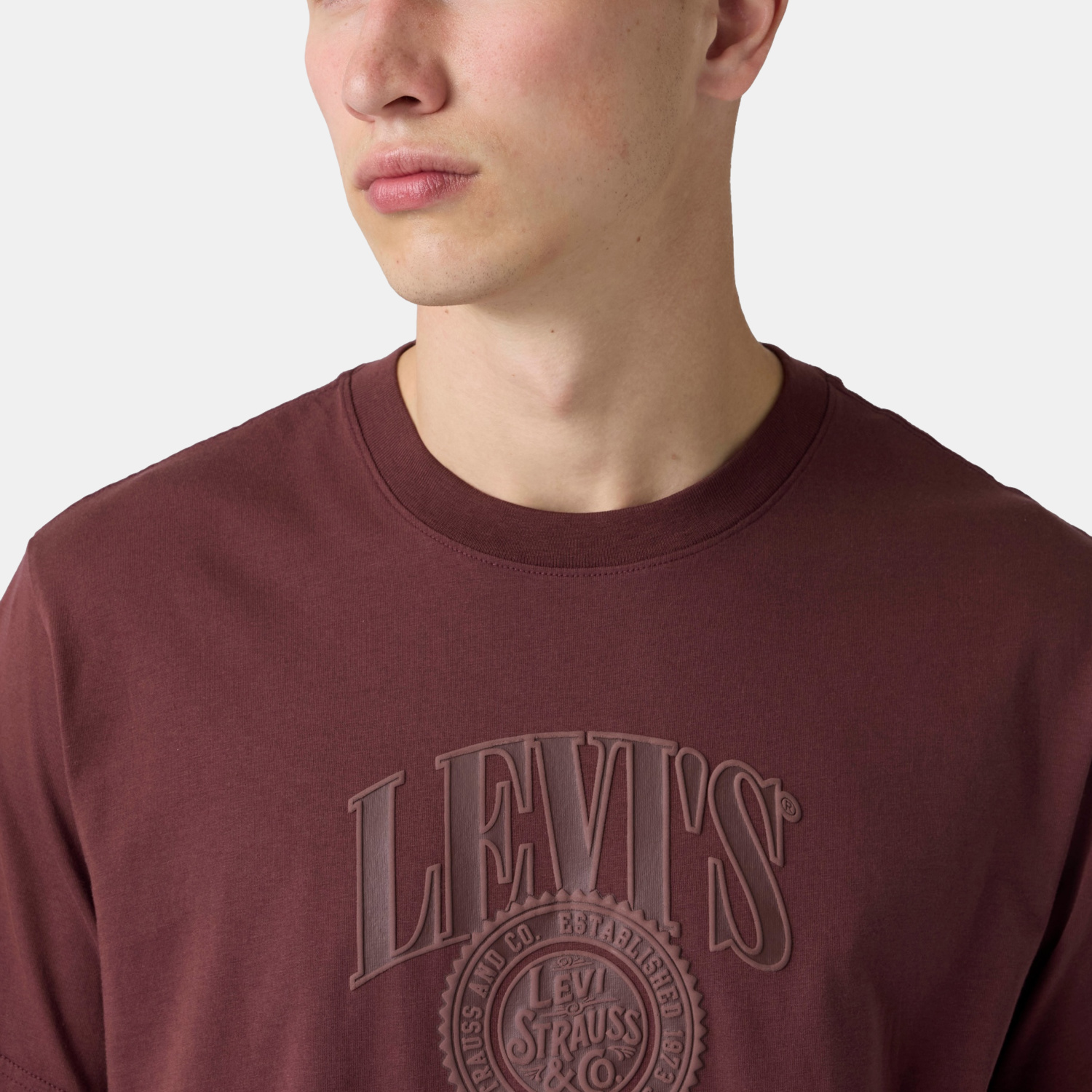 POLO HOMBRE RELAXED FIT TEE BURDEO LEVIS 16143-2676 - 4