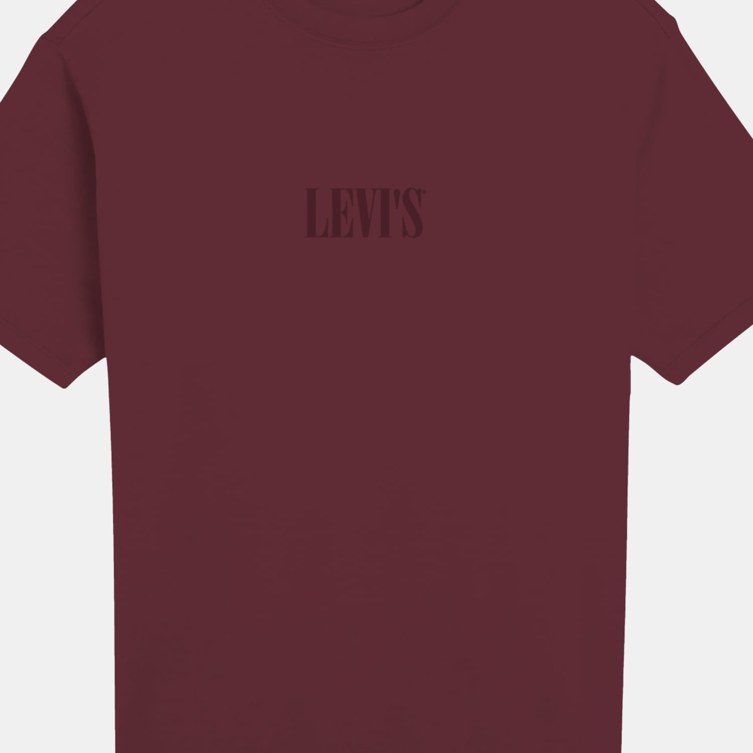 POLO HOMBRE GRAPHIC CREWNECK TEE BURDEO LEVIS 22491-2183 - 5