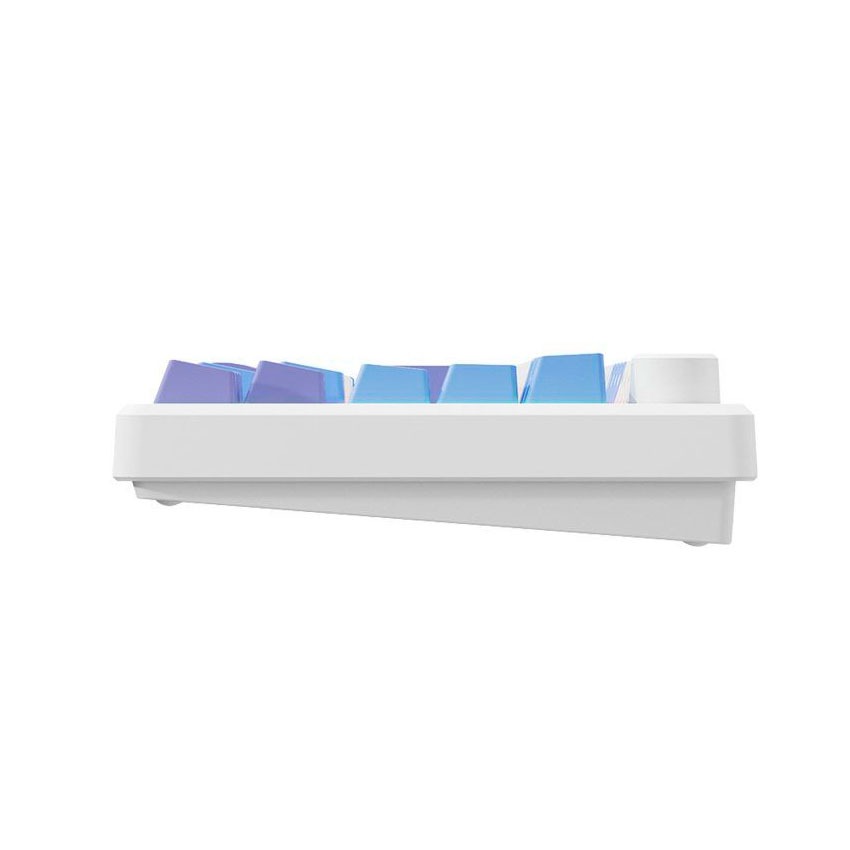 TECLADO ROYAL KLUDGE INALÁMBRICO RK-M75 TARO - 5