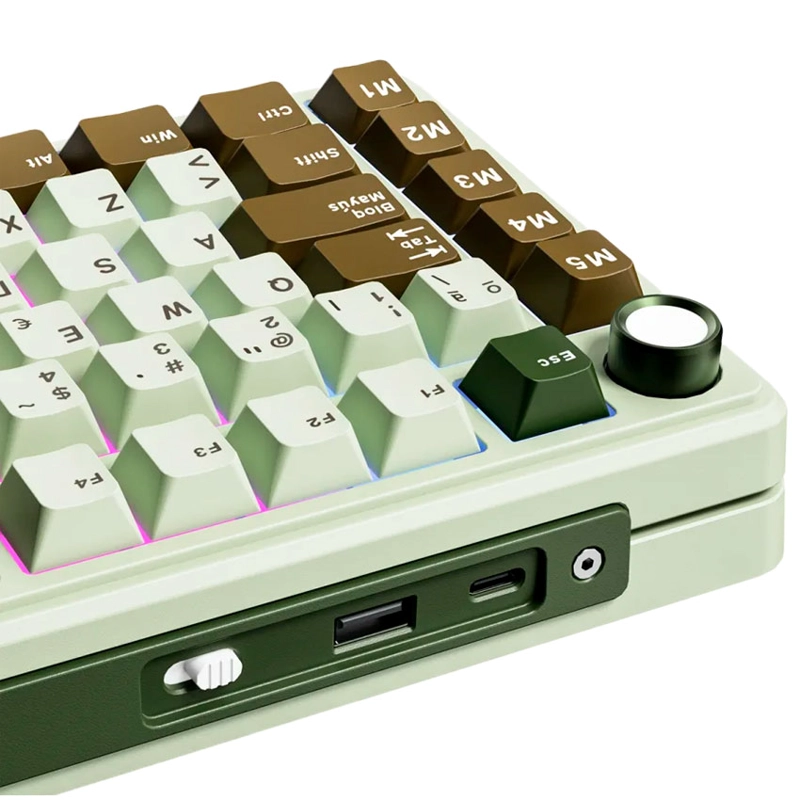 TECLADO ROYAL KLUDGE RK L75 INALÁMBRICO PALM GREEN CREAMY - 5