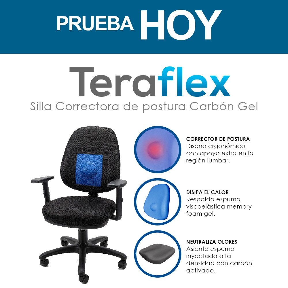 SILLA ERGONÓMICA CORRECTORA DE POSTURA ESPUMA CARBON GEL TERAFLEX - 10