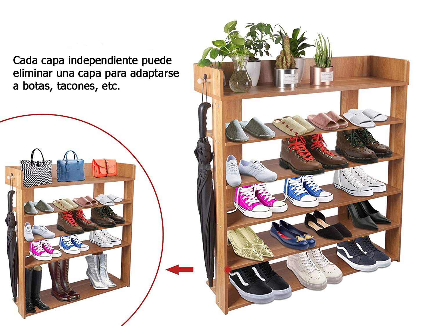 ZAPATERA PACO HAYA - 2